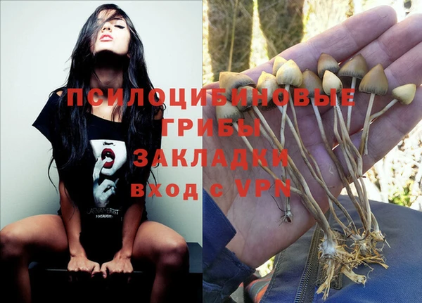 мет Бежецк